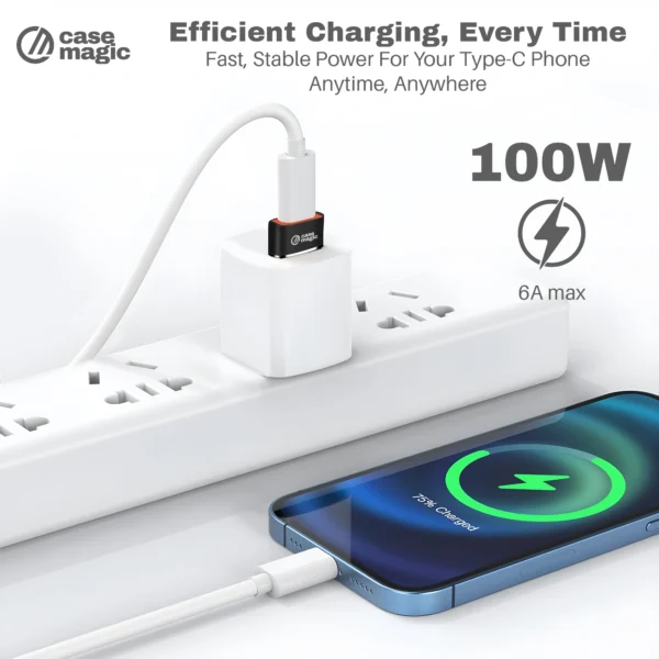 USB-C to USB-A Adapter